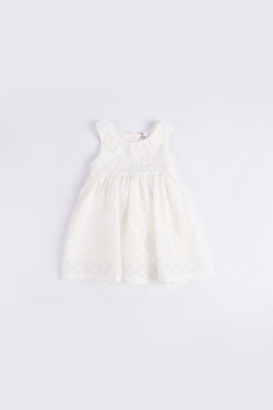 Embroidered Dress