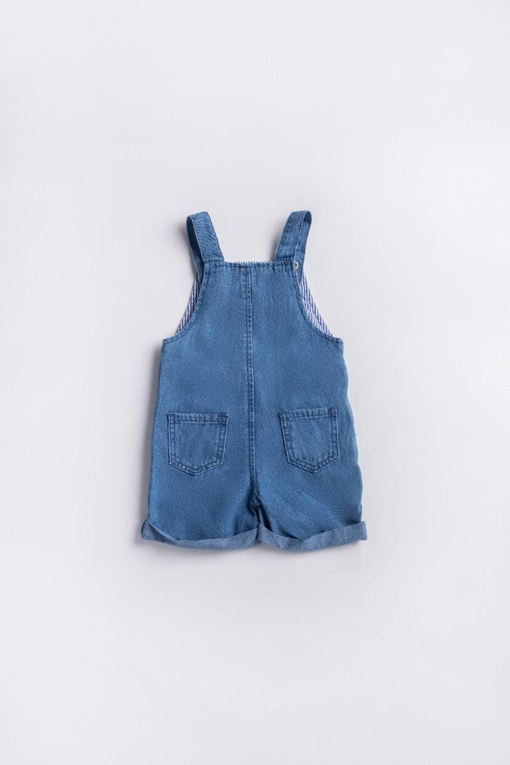 Dungaree