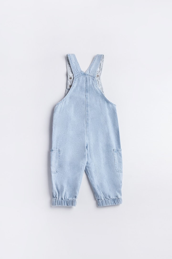 Long Dungaree