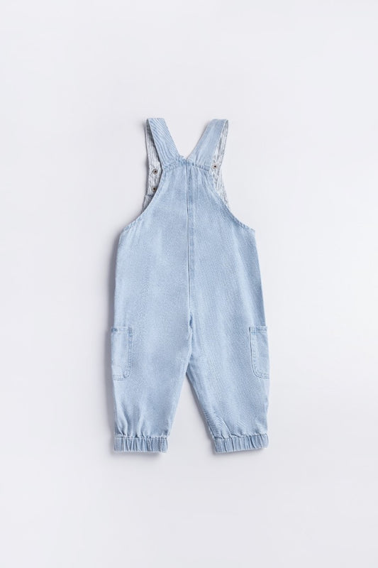 Long Dungaree